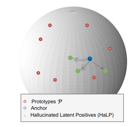 Skeleton Self Supervised Learning by hallucinating latent positives.